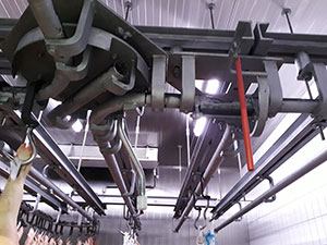Kettenzüge Wandwinden Rohrbahnanlage Rohrbahn Schlachtanlagen Kuehlzellen